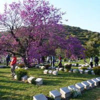 Gallipoli tour From Istanbul